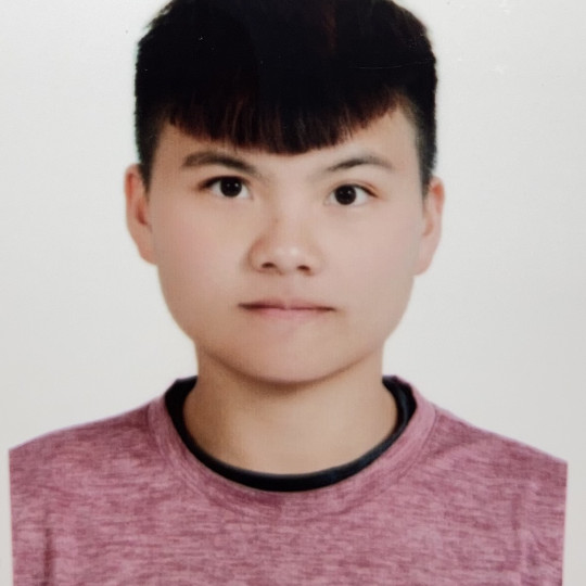 王彥淮